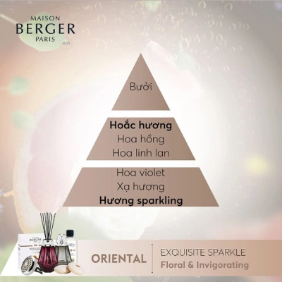 Maison Berger - Lọ tinh dầu khuếch tán hương Exquisite Sparkle - 125ml