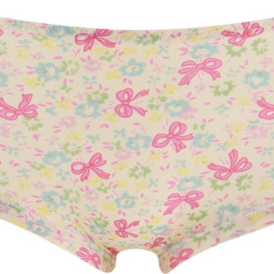 Combo 10 Quần Lót Su Đúc Lanh Hoa Cao Cấp QL03