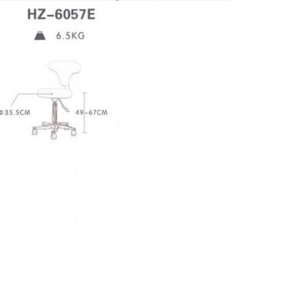 Ghế xoay nhân viên spa - Sonia HZ-6057E màu ngẫu nhiên