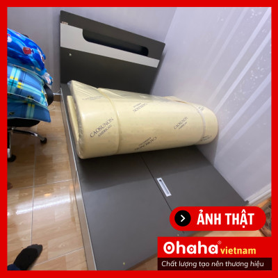 [ Kèm Ảnh Thực Tế - Miễn phí vận chuyển & Lắp đặt tại TP.HCM ]  Giường ngủ gỗ công nghiệp cao cấp Ohaha - GC033 - 02 - Kèm đèn Led - Xám Chì/Trắng