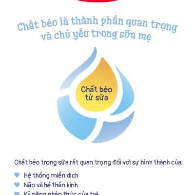 Combo 4 Sữa bột công thức Semper Bifidus số 1 400g/hộp