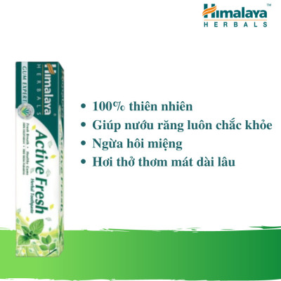 [HSD: 30/06/2026] COMBO 3 TUÝP KEM ĐÁNH RĂNG HIMALAYA ACTIVE FRESH HERBAL TOOTHPASTE BẢO VỆ NƯỚU GIÚP HƠI THỞ THƠM MÁT