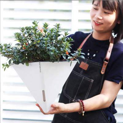 Chậu tự tưới treo tường tam giác MONROVIA K104, chất liệu PP, móc treo tiện lợi, trồng hoa, cây cảnh