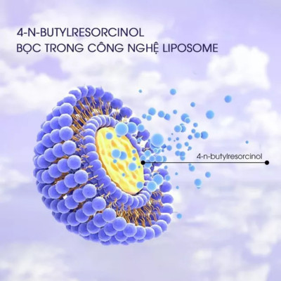 Combo mờ nám chuyên sâu SKINMD DAY & NIGHT BRIGHTENING CREAM 50g và SKINMD PURE WHITENOL INTENSIVE CREAM 15g giúp dưỡng trắng da, mờ đốm sắc tố