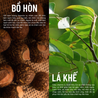 Gel Tắm Gội Lá Khế Bồ Hòn Heebee