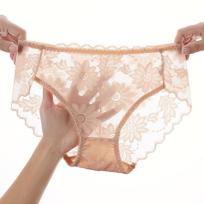 COMBO 5 QUẦN BÔNG ÉP HOA CÚC SEXY 817