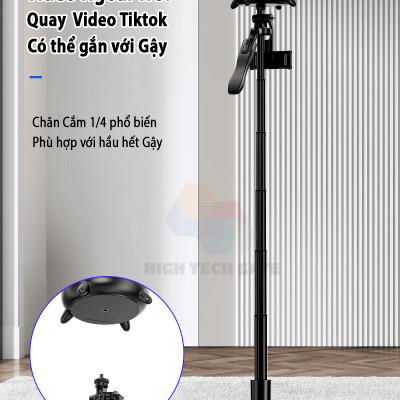 Giá đỡ điện thoại AI gimbal xoay 360 độ HIGH TECH GATE M136 hỗ trợ livestream, quay tiktok, video ngoài trời tự động theo dõi khuôn mặt, phát nhạc bluetooth, hàng chính hãng