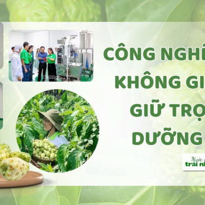 Nước Cốt Trái Nhàu SK NONI gói tiện lợi giúp BẢO VỆ SỨC KHOẺ, TĂNG ĐỀ KHÁNG, HỖ TRỢ ĐẸP DA