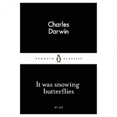 It Was Snowing Butterflies