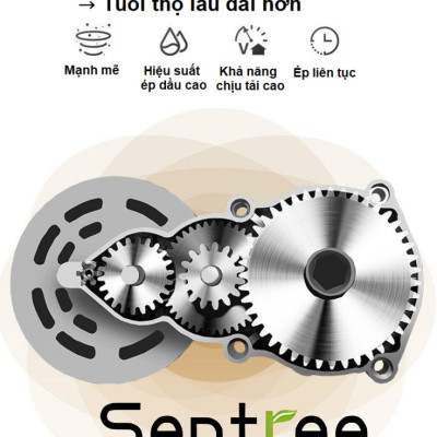 Máy ép dầu ăn thực vật, dùng trong gia đình. Thương hiệu Mỹ cao cấp Septree - Z6 - HÀNG CHÍNH HÃNG 