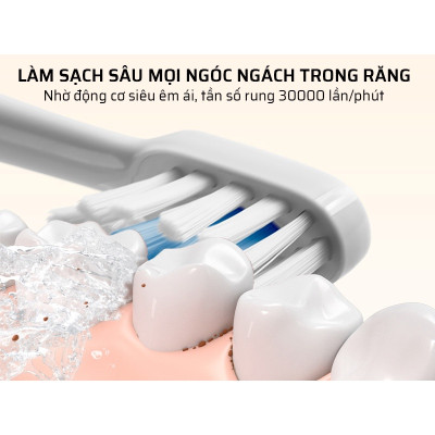 Combo 3 Đầu bàn chải thay thế cho bàn chải đánh răng điện Xiaomi Mijia T300 T500 - Hàng chính hãng 