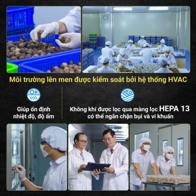 Tỏi Đen Cô Đơn - Combo 4 Hộp Tỏi Kim Cương Đông Á 200g - SX theo công nghệ Nhật Bản, hỗ trợ tốt cho sức khỏe - Kiểm nghiệm chất lượng bởi Bộ Y Tế, Intertek