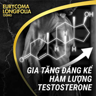 Viên uống phục hồi và tăng cường sức khỏe sinh lý nam giới Powergra Rino - Vỉ dùng thử 1 viên