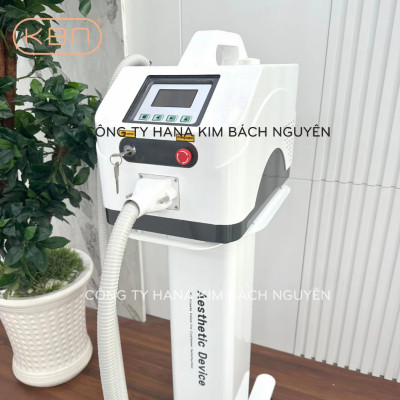 Máy Xóa Xăm Loại Bỏ Sắc Tố Da RG 193+ ND YAG