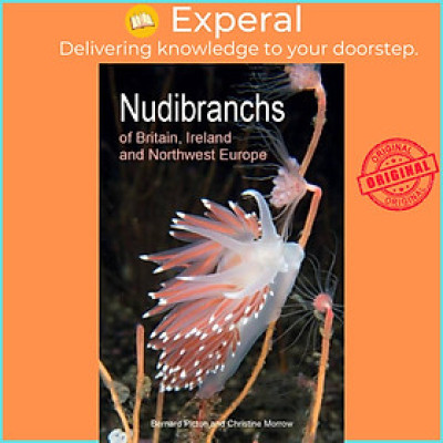 Sách - Nudibranchs of Britain, Ireland and Northwest Europe - Second Edition by Christine Morrow (UK edition, paperback)