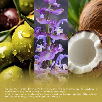 Xà Bông Tắm Thuần Chay Cao Cấp Lá Trầu Không Heebee