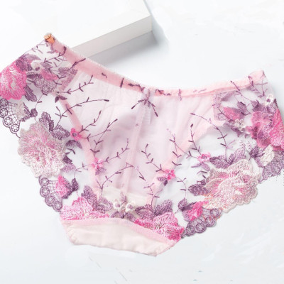 Combo 5 quần lót thêu hoa hồng nhiều màu Q94