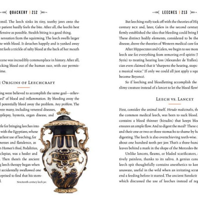 Sách - Quackery : A Brief History of the Worst Ways to Cure Everything by Lydia Kang (US edition, hardcover)