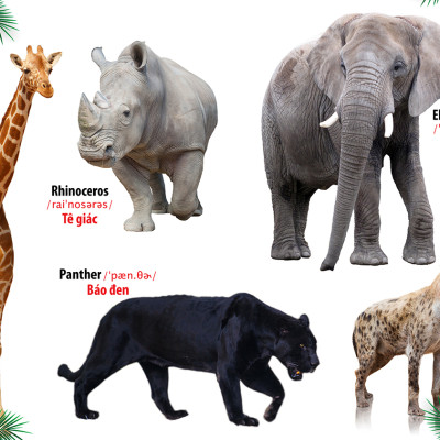 Từ Điển - Thư Viện hình Ảnh Đầu tiên Của Bé - Thế Giới Động Vật - Chữ Cái Và Số Đếm - Hoa Rau Củ Quả ( Bộ 3 cuốn )