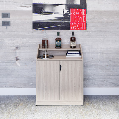 [Happy Home Furniture] WINNI, Tủ giày 2 cánh mở, 74cm x 34cm x 90cm ( DxRxC), TCM_155