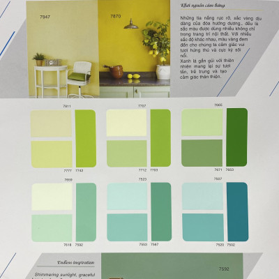 Sơn phào chỉ trong và ngoài nhà Toa 4 Seasons Tropic Shield màu C- 7263 _1L