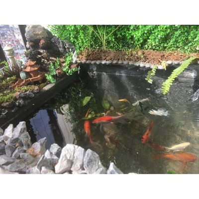 Keo chống thấm BOSUI vết nứt mái nhà, sàn nhà vệ sinh, máng xối, mái tôn, sàn nhà triệt để 