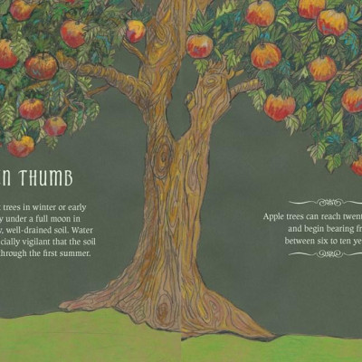 Sách - The Green Witch