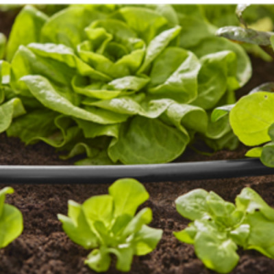 Ống nước nhựa đen 1/2