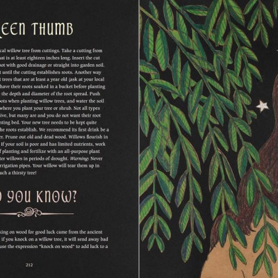 Sách - The Green Witch