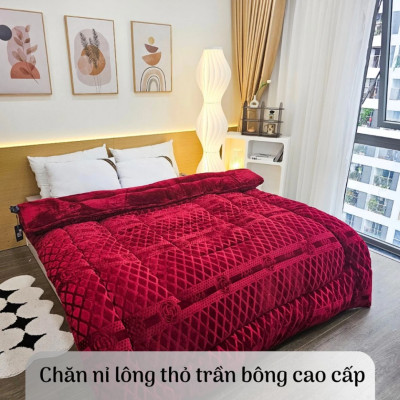 Chăn Nỉ Lông Cừu COCO Siêu Ấm - Mền COCO Xuất Nhật Dày Mịn, Kèm Túi Xách, Kích Thước 2mx2m3, Nặng 4kg - Hàng Chính Hãng MINIIN