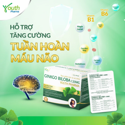 Viên Uống Ginkgo Biloba Youth Pharma Hỗ Trợ Tăng Cường Tuần Hoàn Máu Não. Hộp 60 Viên