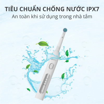 Bàn chải điện đầu xoay tròn Kachi MK361 kèm đế sạc không dây và 2 đầu bàn chải