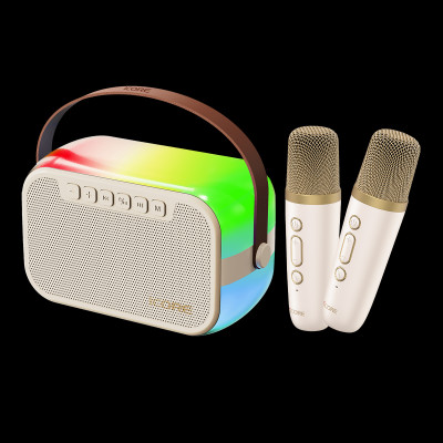 Bộ Loa Karaoke mini Bluetooth iCore ISM69 kèm 02 Micro - Hàng Chính Hãng