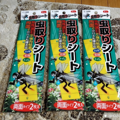 Miếng dính bẫy côn trùng 2 mặt Sanada Seiko - Hàng nội địa Nhật Bản (#Made in Japan)