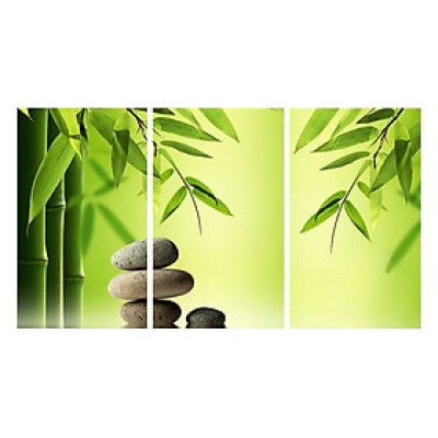 Tranh Nghệ Thuật Spa 9 TNT26
