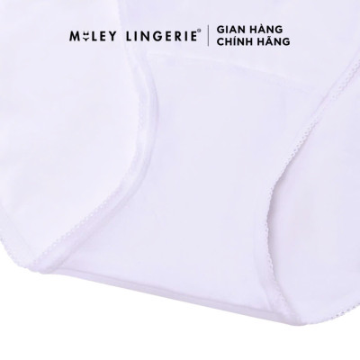Combo 5 Quần Lót Thun Lạnh Trơn 4 Chiều Mềm Mịn Thoáng Khí MILEY LINGERIE 