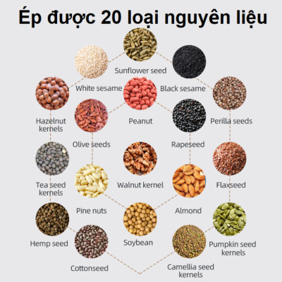 Máy ép dầu thực vật Nóng và Lạnh, dùng trong gia đình. Thương hiệu Mỹ cao cấp Septree - Z5. HÀNG CHÍNH HÃNG