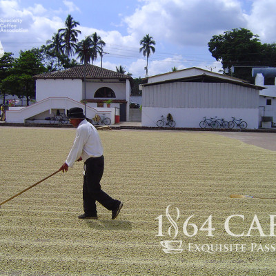 Cà Phê Hảo Hạng (Specialty Coffee) Tinh Khiết Không Tẩm Không Độn Thương Hiệu Quốc Tế 1864 CAFÉ EL BORBOLLÓN Nguyên Hạt Khối Lượng Tịnh 220g – 1864 CAFÉ
