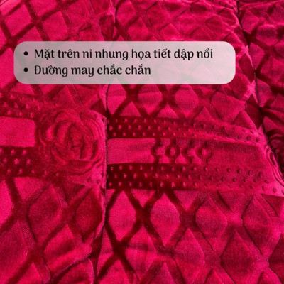 Chăn Nỉ Lông Cừu COCO Siêu Ấm - Mền COCO Xuất Nhật Dày Mịn, Kèm Túi Xách, Kích Thước 2mx2m3, Nặng 4kg - Hàng Chính Hãng MINIIN