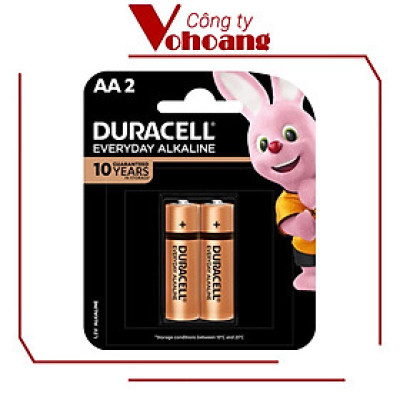 Pin AA Duracell Everyday , Pin Tiểu vỉ 2 viên cho máy nghe nhạc, chuột không dây, bàn phim - Hàng Chính Hãng