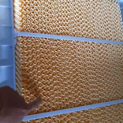 Máy làm mát không khí, quạt hơi nước Fujiliba - Hàng chính hãng