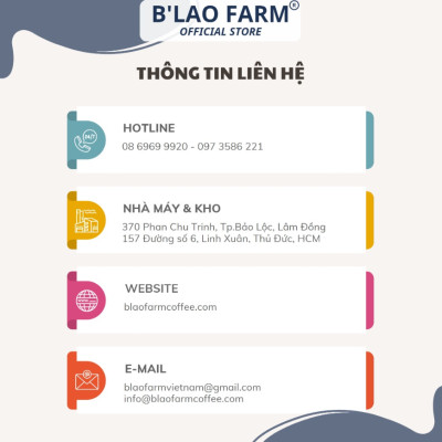 Cà phê nhân xanh CULI loại 1 B