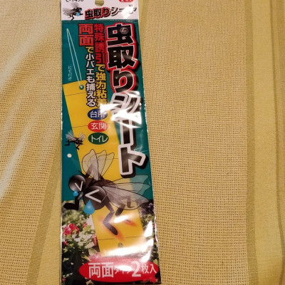 Miếng dính bẫy côn trùng 2 mặt Sanada Seiko - Hàng nội địa Nhật Bản (#Made in Japan)