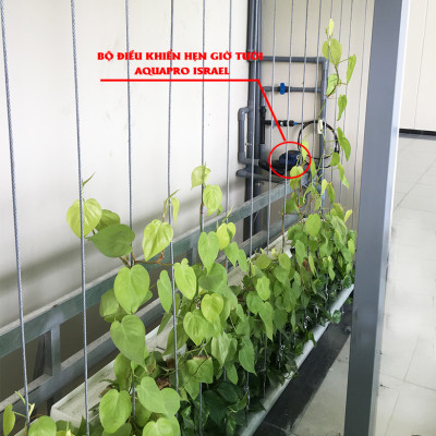 Bộ Hẹn Giờ Tưới Cây Tự Động nhập khẩu Israel dùng pin Hiệu Aquapro nhỏ gọn và tiết kiệm thời gian tưới hàng ngày (Van điều khiển tưới cây tự động)