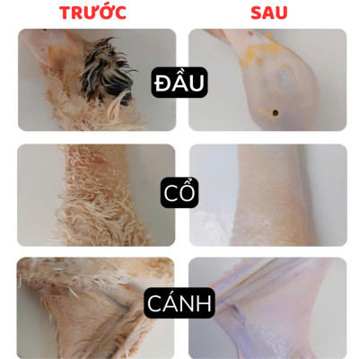 Máy Nhổ Lông Gà Vịt Tích Điện Cầm Tay Cao Cấp: Động Cơ Kép, Siêu Tiện Lợi