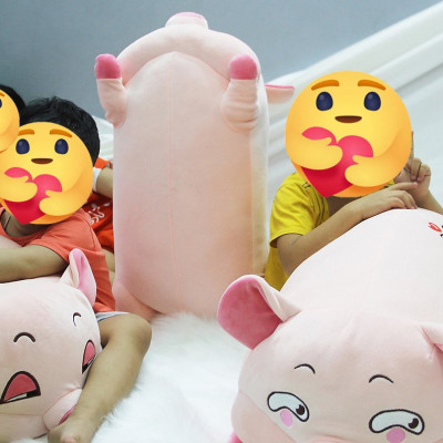 Gấu bông heo hồng mắt liếc vui nhộn, lợn mắt liếc đáng yêu siêu mềm (45cm--->75cm) vải miniso 4 chiều cao cấp mềm êm, an toàn cho trẻ nhỏ