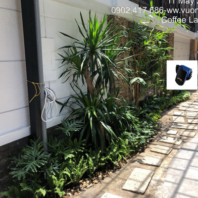 Bộ Hẹn Giờ Tưới Cây Tự Động nhập khẩu Israel dùng pin Hiệu Aquapro nhỏ gọn và tiết kiệm thời gian tưới hàng ngày (Van điều khiển tưới cây tự động)