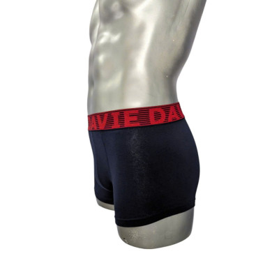 Quần Lót Nam Thương Hiệu Davie Boxer Dv2205 Bản Lưng 4.0 Cm Mạnh Mẽ Và Chắc Chắn