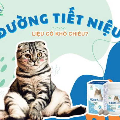 BOSSEN - KIDNEY Shield (cats) Hỗ Trợ Chức Năng Thận cho Mèo - Hộp 30 viên