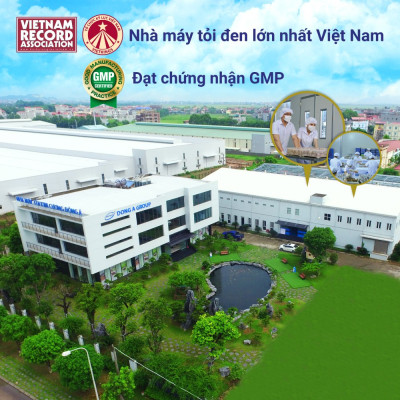 Tỏi Kim Cương Đông Á túi 500g- Tỏi đen cô đơn SX theo công nghệ Nhật Bản -Kiểm nghiệm chất lượng bởi Bộ Y Tế, Intertek